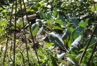 Hawthorn VICorganic-gardening-3.jpg; ?>