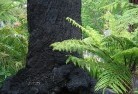 Hawthorn VICsustainable-landscaping-15.jpg; ?>